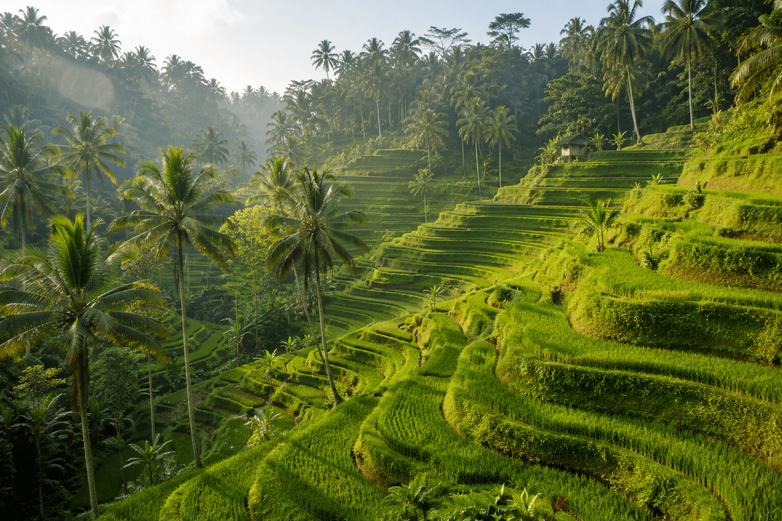 Bali