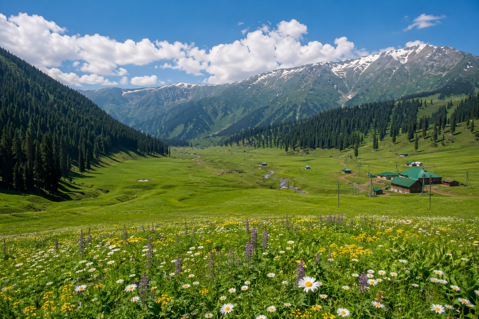 Kashmir
