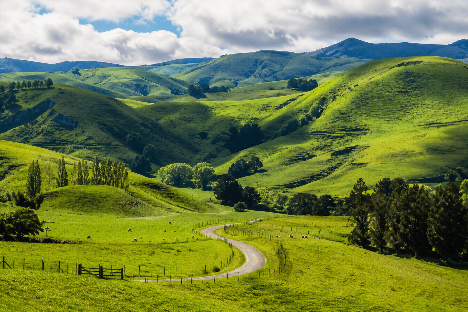 New Zealand