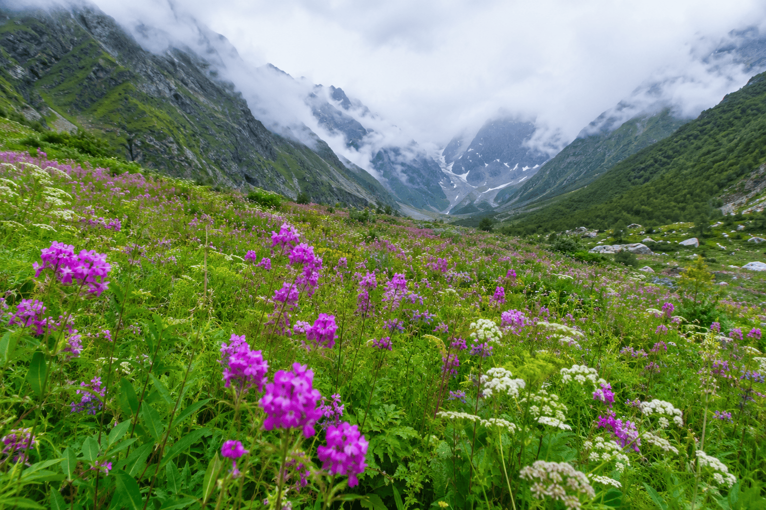 Uttarakhand